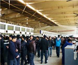 專業(yè)調(diào)車